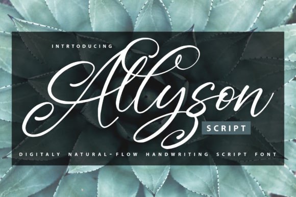 Allyson: A Script Font Designed for Elegant Digital Experiences