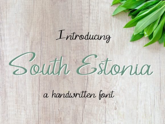 How South Estonia Font Elevates Campaign Visuals
