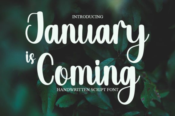 January is Coming: A Casual Script Font for Authentic Brand Stories