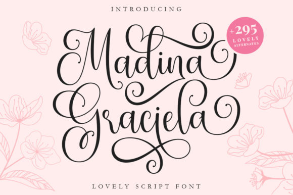 Testing Madina Graciela for Your Next Web Design Project