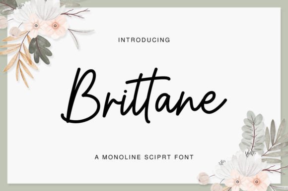 The Brittane Font Can Transform Your Small Business Visuals